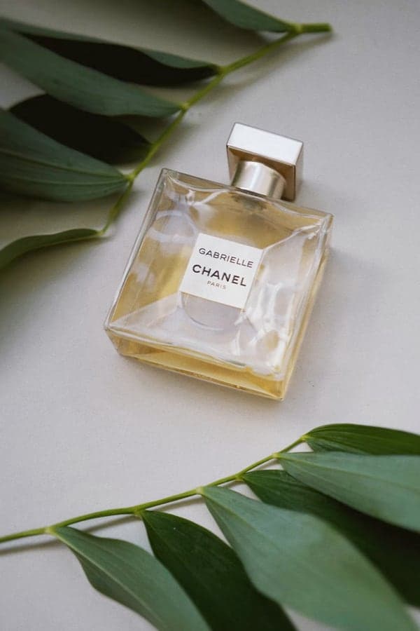 chanel perfume bottle with leaves places aside it